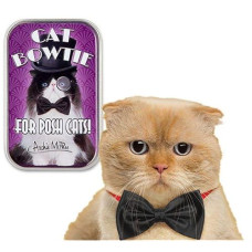 Archie Mcphee 12693 Cat Bowtie, Accoutrements, Halloween, 3.5-Inch Wide, Black