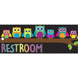 Ashley Productions Owls Double-Sided Large Restroom Pass