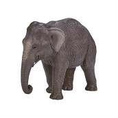 Mojo Asian Elephant Realistic International Wildlife Toy Replica Hand Painted Figurine