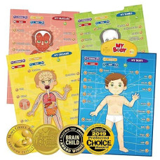 Best Learning I-Poster My Body - Interactive Educational Human Anatomy Talking Game Toy | Learn Body Parts, Organs, Muscles And Bones For Kids Aged 5 To 12 Years Old