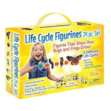 Insect Lore Life Cycle Figurines 24 Pc Set, Brown/A