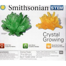 Smithsonian Stem Crystal Growing