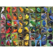 New York Puzzle Company - Cornell Lab Rainbow Of Birds - 1000 Piece Jigsaw Puzzle