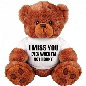 Sinman Funny Teddy Bear Couple Gift: Medium Teddy Bear Stuffed Animal : I Miss You