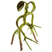 The Noble Collection Bendable Bowtruckle Pickett