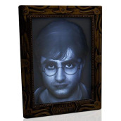 Wow! Stuff Collection Harry Potter Holopane 50 Mood Lamp