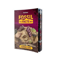 Mega Fossil Dig Kit - Educational