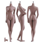 Hiplay 12 Inch Female Seamless Action Figures-Realistic Full Silicone Body Suntan Skin & Stainless Steel Skeleton-1/6 Scale Super Flexible Female Figure Dolls For Arts/Drawings/Photography (S12D)