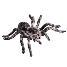 Flormoon Realistic Animal Figures - Spider Action Model Lifelike Insect Toy Figures - Educational Learning Toys Birthday Set For Boys Girls Kids Toddlers (Giant Whiteknee)