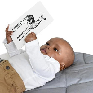 Wee Gallery Black And White Art Flash Cards For Babies, High Contrast Educational Animal Picture Cards, Baby Visual Stimulation, Brain And Memory Development In Infants And Toddlers - Baby Animals