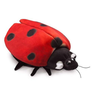 Ladybug Life Cycle Reversible Hand Puppet, Red, Black, Gold