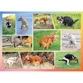Pooping Dogs 1000 Piece Dog Puzzles For Adults - Funny Gift Dog Poop Gag Jigsaw Puzzles For Dog Lovers & Puppy Owners (Pooping Dogs Puzzle)