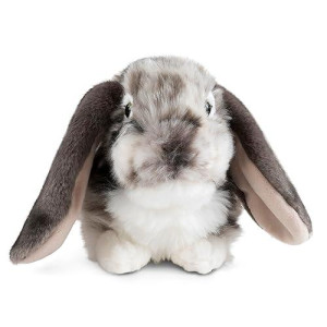 Living Nature Grey Dutch Lop Eared Rabbit Stuffed Animal | Fluffy Rabbit Animal | Soft Toy Gift For Kids | 10 Inches