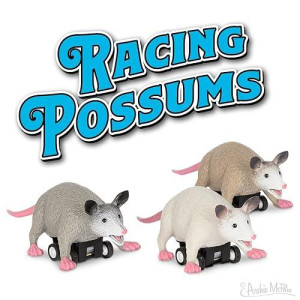 Accoutrements Racing Possums 3 Piece Set