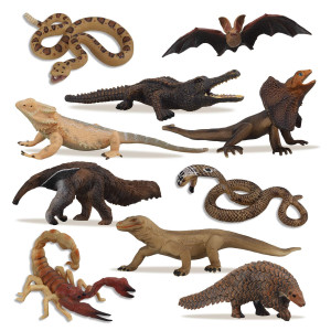 Toymany 10Pcs Tropical Reptile Animal Figurine Toy Set - Cold Blooded Amphibians Jungle Animal Figures Set With Dragon Lizard Snake Halloween Birthday Gift Party Favor School Project For Kids Toddlers