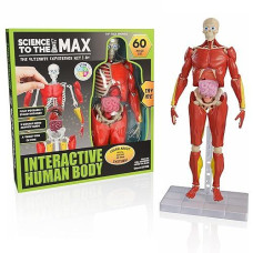 Be Amazing! Toys Interactive Human Body - 60 Piece Fully Poseable Anatomy Figure - 14