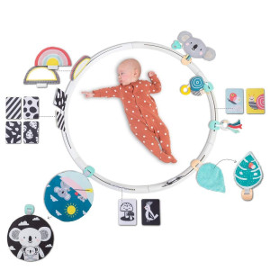 Taf Toys All Around Me Activity Hoop | Developmental Hoop, Prefect For Newborns And Up, With 24 Developmental Activities. Designed To Promote Baby?S Senses, Motor Skills And Cognitive Development