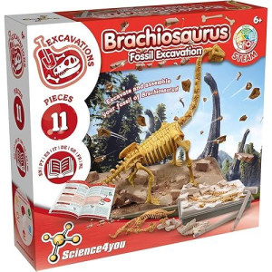 Science4You Brachiosaurus Fossil Digging Kit For Kids - Excavate And Assemble 11 Pieces Dinosaur Fossil, Excavation Dig Kit + Dinosaurs For Kids, Games, Dinosaur Toys For Girls And Boys 6+ Years Old