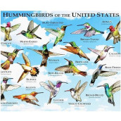 300 Pieces Hummingbird Puzzles For Adults Large Pieces Bird Jigsaw Puzzle For Kids Adults And All Bird Lovers