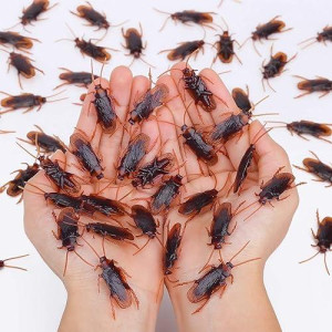 Wirrabilla Pretty Realistic 50Pcs Fake Roaches, Fake Cockroaches Great Way To Play A Prank, Faux Cockroaches Lifelike Creepy Perfect For Halloween Project, Tricking People, Kid Playing