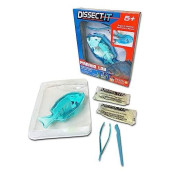 Dissect-It Simulated Synthetic Lab Dissection Toy, Stem Projects For Kids Ages 6+, Animal Science, Biology, Anatomy Home Learning Kit, Great For Young Scientists! - Piranha