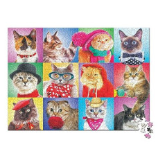 Eurographics Silly Cats 300 Piece Puzzle