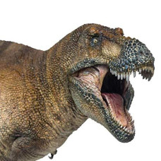 Pnso Dinosaur Museums Series (New Wilson The Tyrannosaurus Rex 1:35 Scientific Art Models)