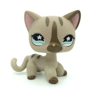 #468 Pet Shop Gray Short Hair Cat Kitty Tan Blue Eyes Lps Toys