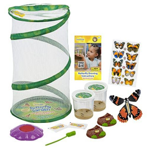 Mini Butterfly Garden Gift Set Two Live Cups Of Caterpillars - Life Science & Stem Education - Best Birthday Gift, For Boys & Girls Age 4 5 6 7 8 Years Old