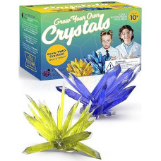 Purple Ladybug Crystal Growing Kit For Kids - Grow 2 Large Crystals, Blue & Yellow Colors - Fun Science Kits For Kids 10-12 For 10 Year Old Girl, Boys & Teens - Diy Stem Projects For Kids