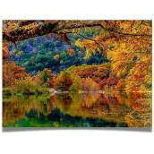 Jigsaw Puzzle For Adults 1000 Pieces - Fall Colors In The Trees - Size Large 27 X 20 Inch - Refrence Poster 11X16, Sturdy Tight Fitting Pieces, Letters On Back, Rated Hard
