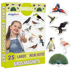 Magdum 25 Fridge Magnets For Toddlers - Birds Photo Kids Magnets For Fridge - Toddler Magnets For Refrigerator - Magnetic Animals - Fridge Magnets For Kids - Animal Magnets - Toddler Fridge Magnets