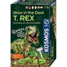 Glow In The Dark T.Rex V1