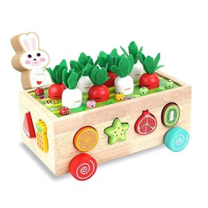 Wooden Montessori Multifunctional Toys For 1 2 3 4 Year Old Toddlers Preschool Learning & Education, Shape Sorting, Fine Motor Skills, Size Sorting & Counting Puzzle Baby Boys Girls Gifts Car Game Set