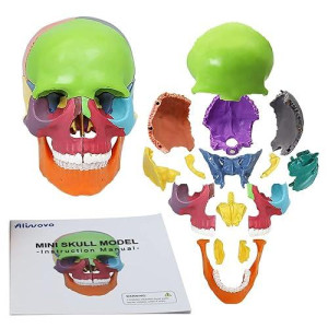 Anatomy Skull Model Aliwovo Human Anatomical Skull 15-Parts Puzzle Mini Colorful Medical Model With Color Study Manual, Teaching-Learning Tool