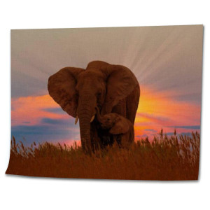 Oepwqiwepz African Female Elephant Baby At Sunrise Diy Digital Oil Painting Set Acrylic Oil Painting Arts Craft Paint By Number Kits For Adult Kids Beginner Children Wall Decor