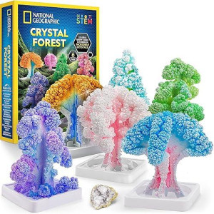 National Geographic Craft Kits For Kids - Crystal Growing Kit, Grow 6 Crystal Trees In Just 6 Hours, Educational Craft Kit With Art Supplies, Geode Specimen, Stem Arts & Crafts Kit