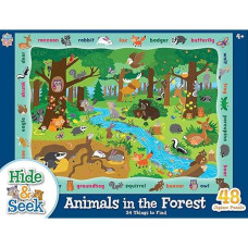 Hide & Seek - Animals In The Forest