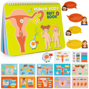 Freebear Busy Book For Toddlers, Human Body Book For Toddlers, Preshool Kindergarten Learning Activities, Autism Sensory Toys, Travel Toys, Gifts For Girls And Boys 4 5 6 7 8 Years (Human Structure 3)