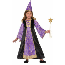 Winsome Wizard Costume Dress Child Large