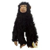Primates: Chimp (Large)