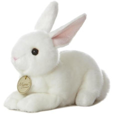 Aurora - Miyoni - 8 American White Rabbit