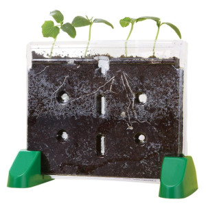 Educational Insights Sprout Grow Window Plant Growing Kit Science Kit For Homeschool Classrooms Ages 5