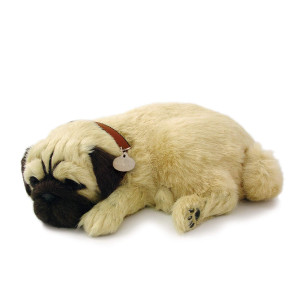 Perfect Petzzz Xp9109 Huggable Pug Puppy