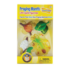 Praying Mantis 4 Piece Life Cycle Figures 2 Bug Toys By Insect Lore