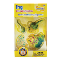 Insect Lore Frog Life Cycle Stages