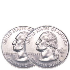 Loftus Two Headed Quarter Multicolor