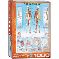 Eurographics Human Body Puzzle 1000Piece