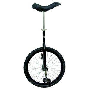 Fun 20 Inch Wheel Unicycle with Alloy Rim, Matte Black