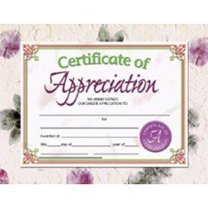 14 Pack Hayes School Publishing Certificates Of Appreciation 30 Pk